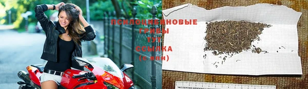 эйфоретик Алзамай