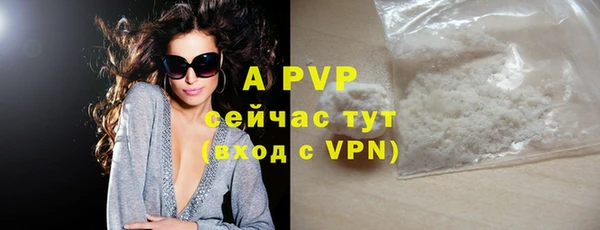 молекула духа Семилуки