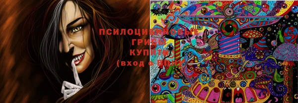 эйфоретик Алзамай