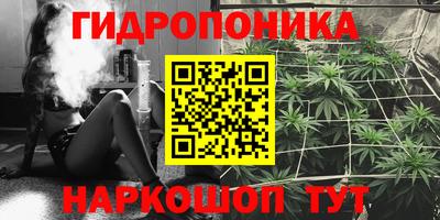 прущие грибы Комсомольск-на-Амуре