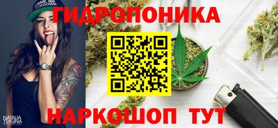прущие грибы Комсомольск-на-Амуре
