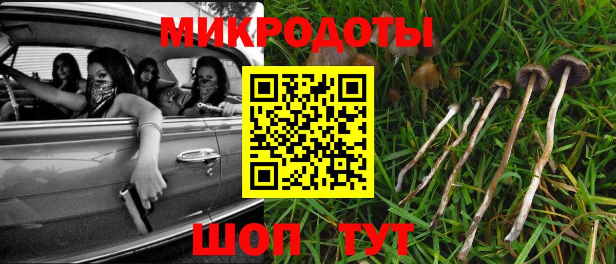 Псилоцибиновые грибы прущие грибы Коркино