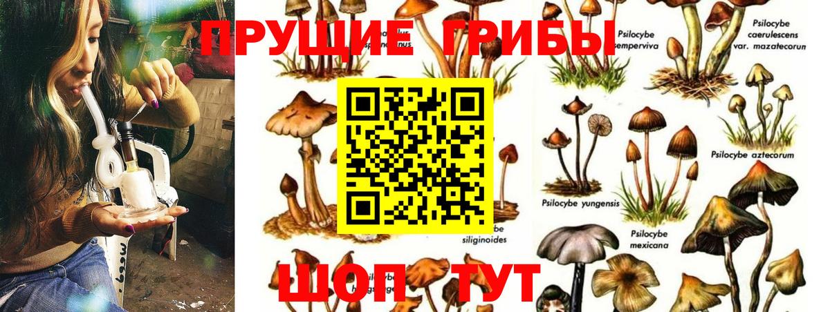 Галлюциногенные грибы MAGIC MUSHROOMS  Вход с VPN  Коркино 